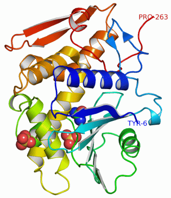 Image Asym./Biol. Unit - manually