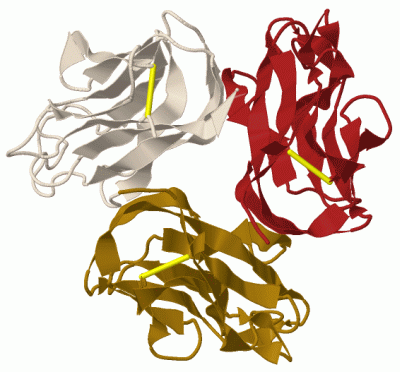 Image Biol.Unit 1 - manually