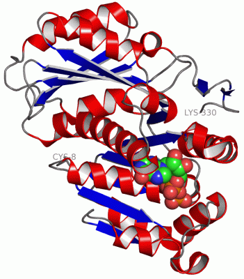 Image Asym./Biol. Unit - manually