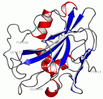 Image Asym./Biol. Unit - manually