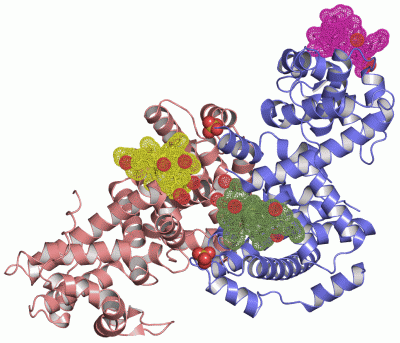 Image Asym./Biol. Unit - manually