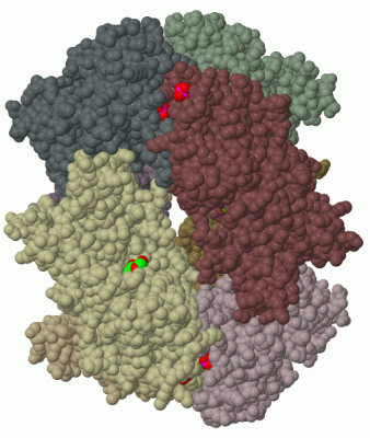 Image Biol.Unit 1 - manually