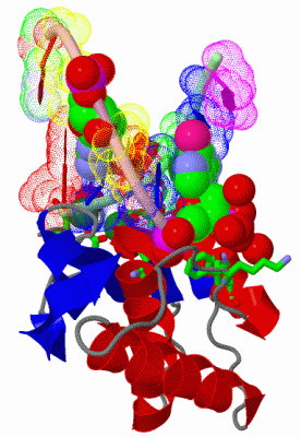 Image Asym./Biol. Unit - manually