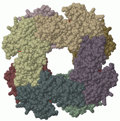 Image Biol.Unit 1 - manually