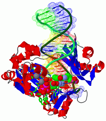 Image Asym./Biol. Unit - manually