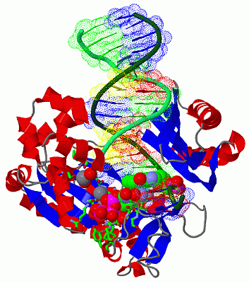 Image Asym./Biol. Unit - manually