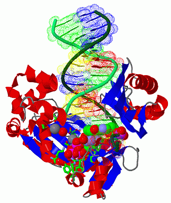 Image Asym./Biol. Unit - manually