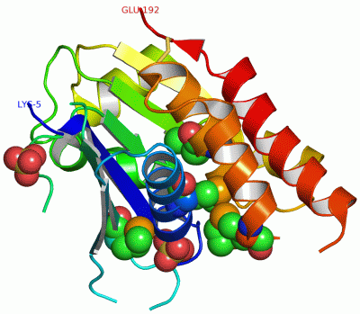 Image Asym./Biol. Unit - manually