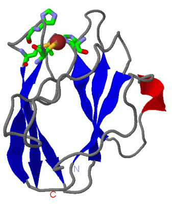 Image Asym./Biol. Unit - manually