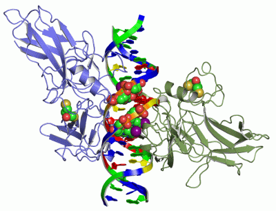 Image Asym./Biol. Unit - manually