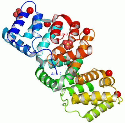 Image Asym./Biol. Unit - manually