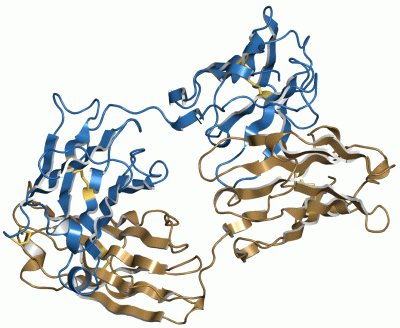 Image Asym./Biol. Unit - manually