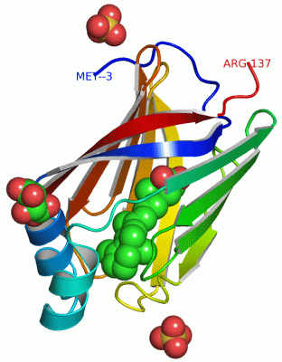 Image Asym./Biol. Unit - manually