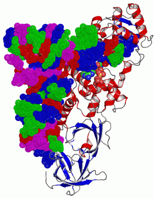 Image Asym./Biol. Unit - manually