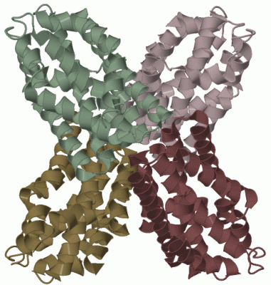 Image Biol.Unit 1 - manually