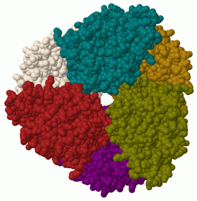 Image Biol.Unit 1 - manually