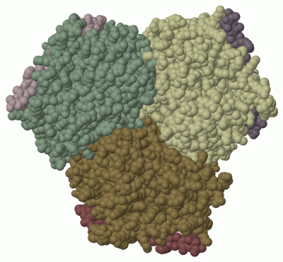 Image Biol.Unit 1 - manually