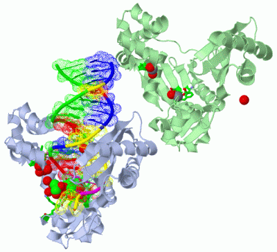 Image Biol.Unit 1 - manually