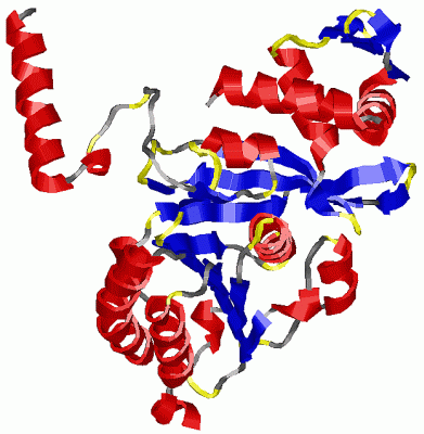 Image Asym./Biol. Unit - manually