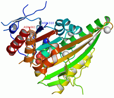 Image Asym./Biol. Unit - manually