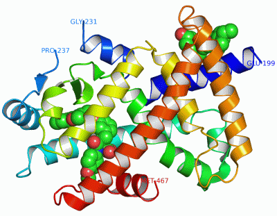 Image Asym./Biol. Unit - manually