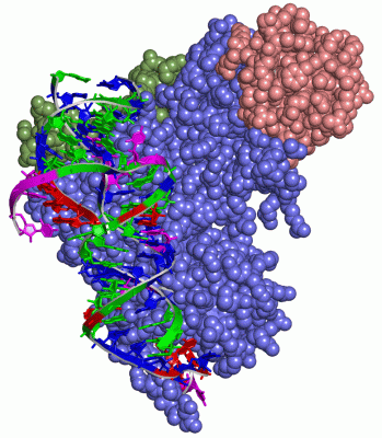 Image Asym./Biol. Unit - manually