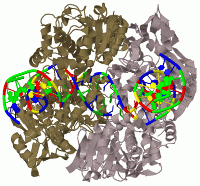 Image Biol.Unit 1 - manually