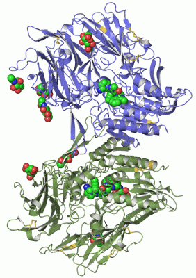 Image Asym./Biol. Unit - manually