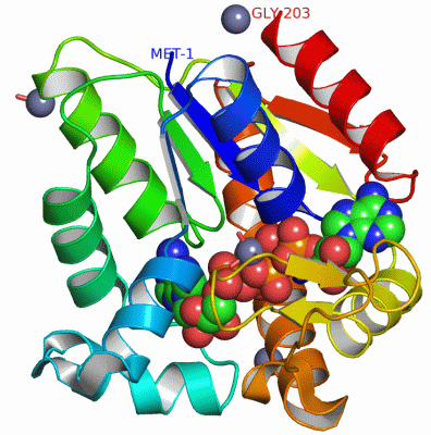 Image Asym./Biol. Unit - manually