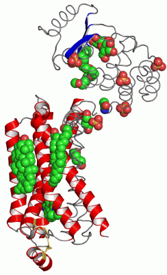 Image Asym./Biol. Unit - manually
