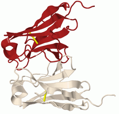 Image Biol.Unit 1 - manually