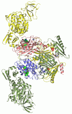 Image Asym./Biol. Unit - manually