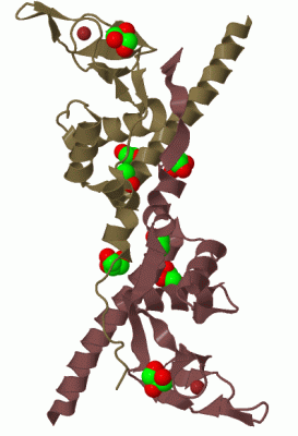 Image Biol.Unit 1 - manually