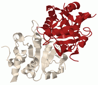 Image Biol.Unit 1 - manually