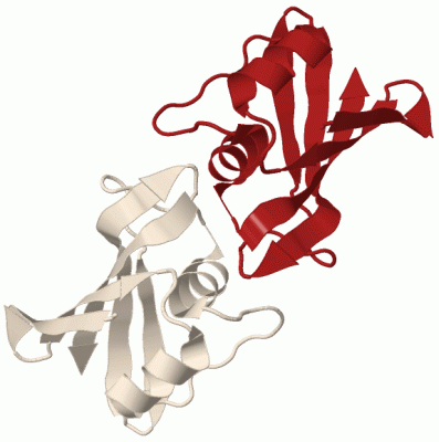 Image Biol.Unit 1 - manually