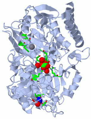 Image Biol.Unit 1 - manually