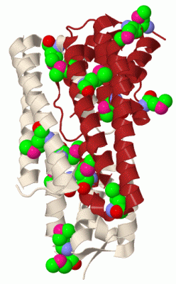 Image Biol.Unit 1 - manually