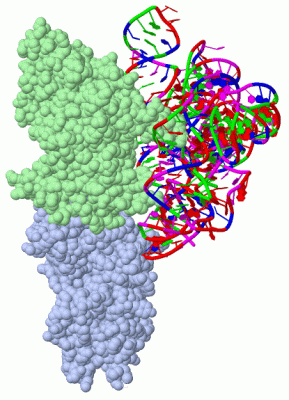 Image Biol.Unit 1 - manually