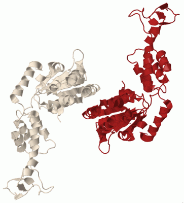 Image Biol.Unit 1 - manually