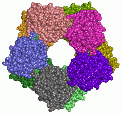 Image Asym./Biol. Unit - manually