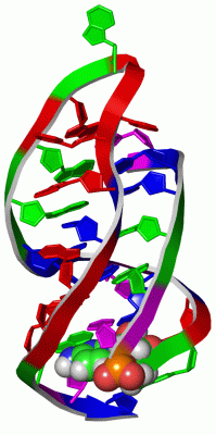 Image NMR Structure - manually