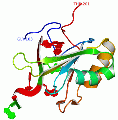 Image Biol.Unit 1 - manually