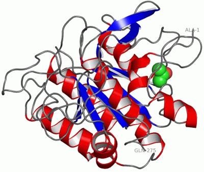 Image Asym./Biol. Unit - manually