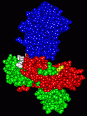 Image Asym./Biol. Unit - manually