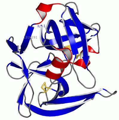 Image Asym./Biol. Unit - manually