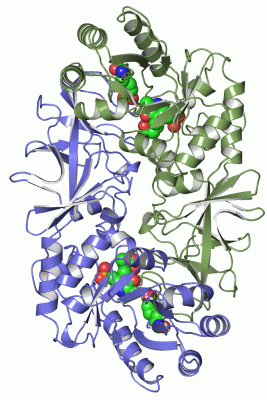 Image Asym./Biol. Unit - manually