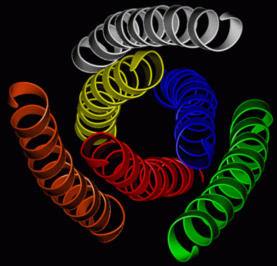 Image Asym./Biol. Unit - manually