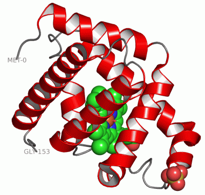 Image Asym./Biol. Unit - manually