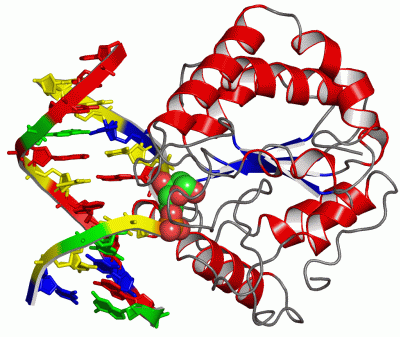 Image Asym./Biol. Unit - manually