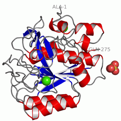 Image Asym./Biol. Unit - manually